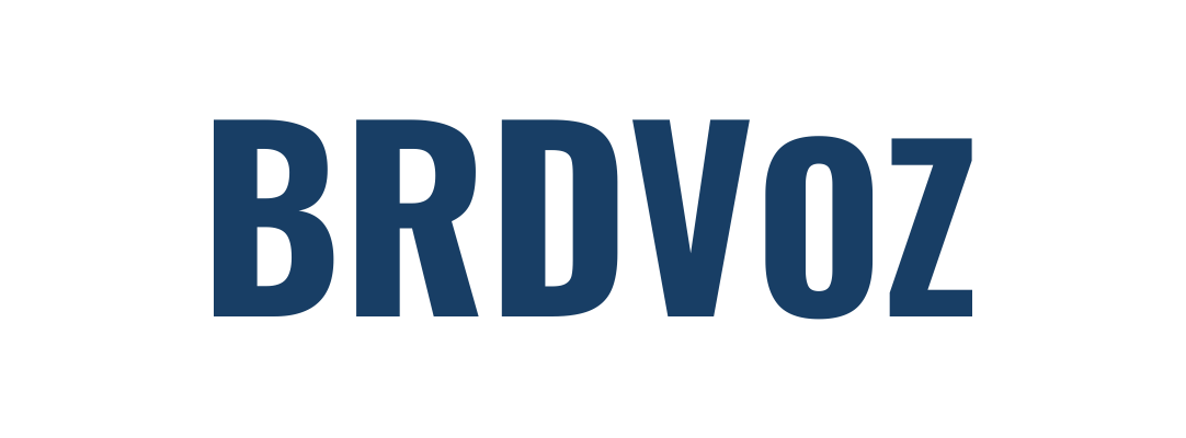 logo Brdvoz